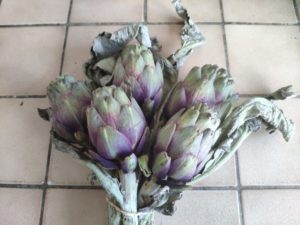 Artichauts poivrade sautés