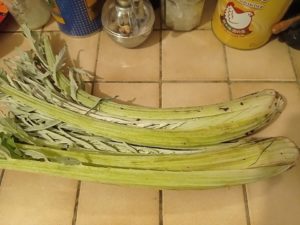 Gratin de cardons