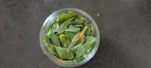 Faux pourpier au vinaigre