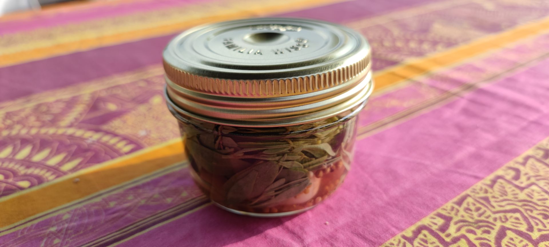 Faux pourpier au vinaigre