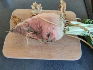 Cake à la betterave fourragère