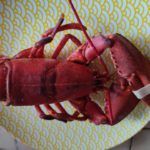 Homard au court bouillon