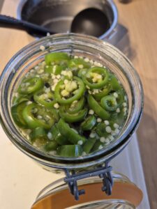 Pickles de piments