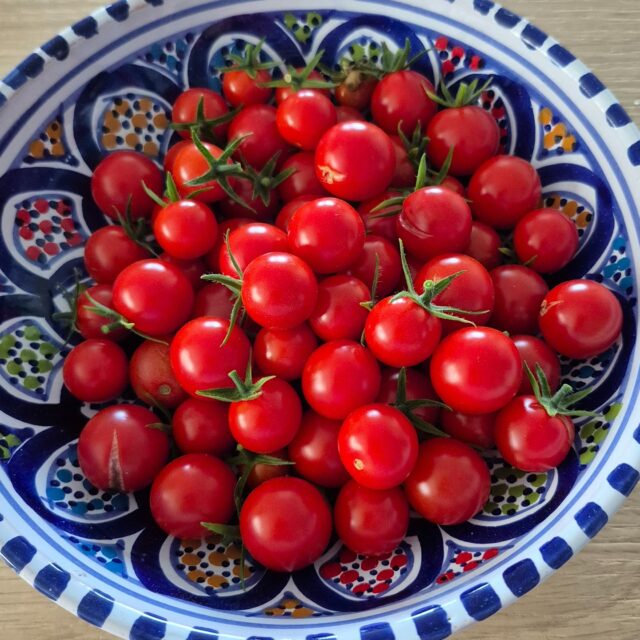 Première récolte de tomates cultivées dans l'appartement. Merci à la @villelevallois pour les pieds offerts lors de Jardin Bonheur !
#yummy😋 #tomate #tomato #levallois #instafood