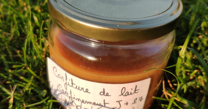 Confiture de lait