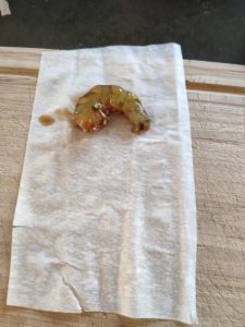 Croustillants de crevettes à la citronnelle