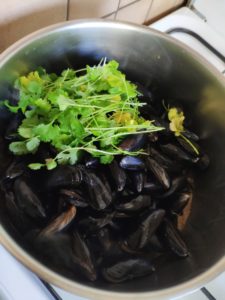 Moules au curry