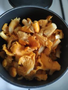 Risotto aux girolles