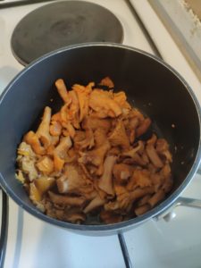 Risotto aux girolles