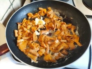 Risotto aux girolles