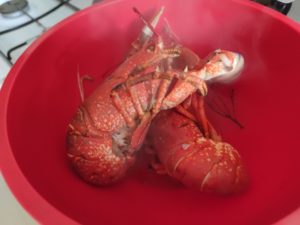 Homard au court bouillon