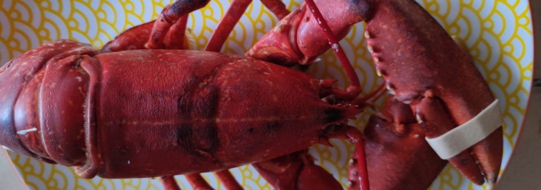 Homard au court bouillon