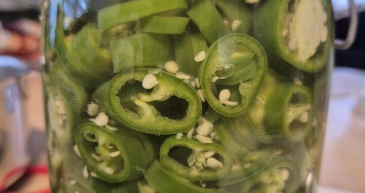 Pickles de piments
